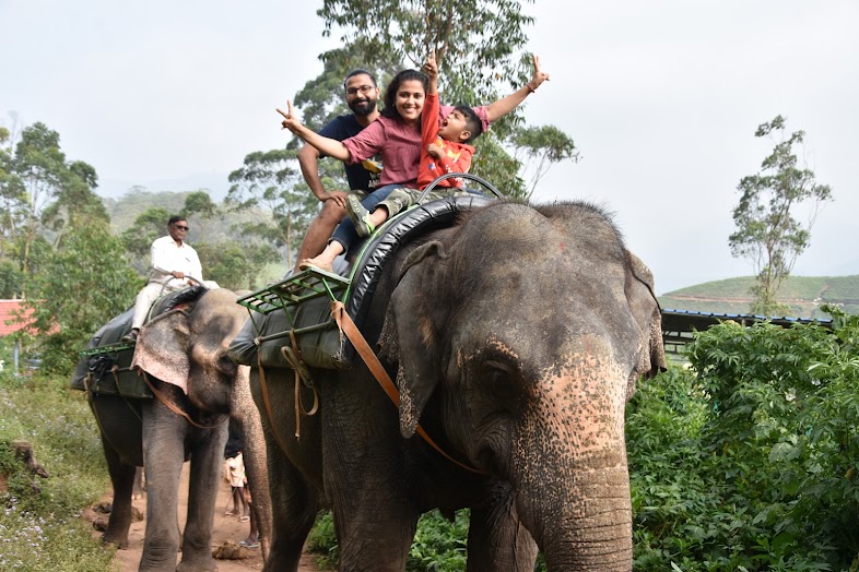 Carmelagiri Elephant Park Munnar